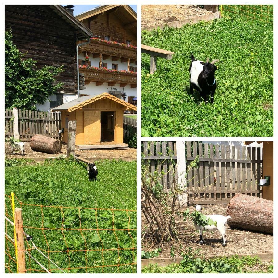 Obergrundhof Leilighet Leogang Eksteriør bilde